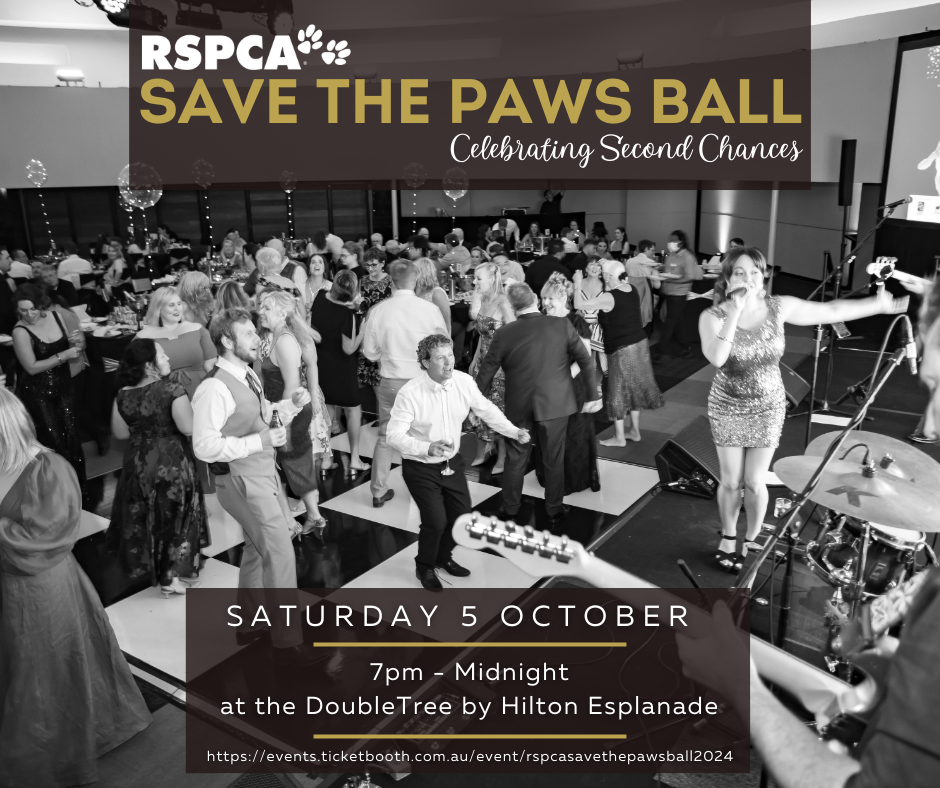 RSPCA Darwin Save the Paws Ball